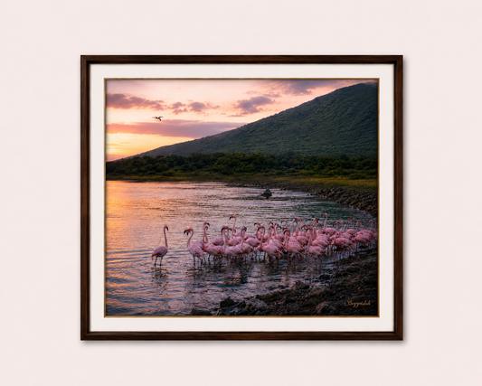 Gathered at the Water’s Edge