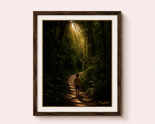 Toward the Light